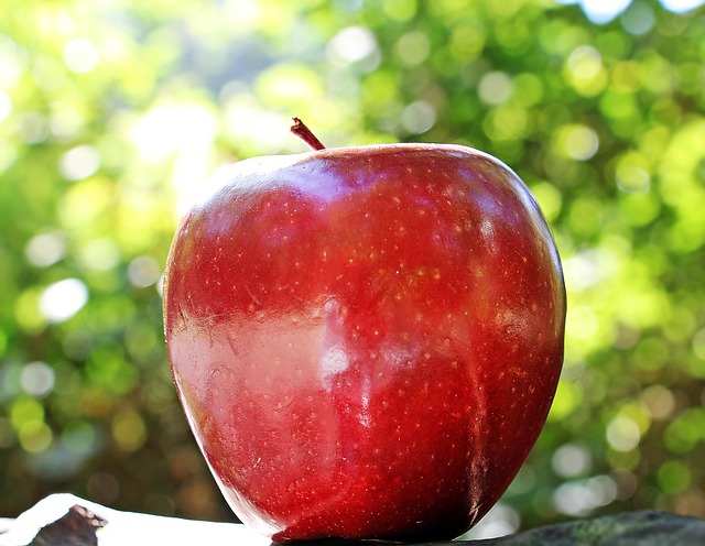 Apple's Strategic Acquisition of Perplexity AI: Enhancing AI Capabilities and Search Integration