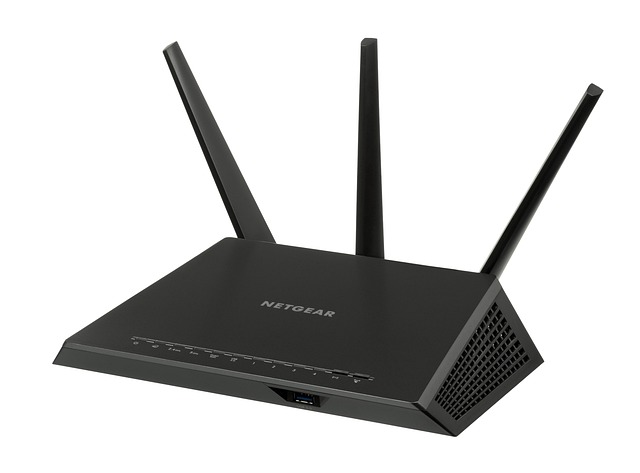 NETGEAR's Strategic Leadership and Service Expansion: What It Means for Businesses