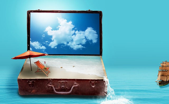 Maximizing Your Travel Experience: Contacting Indian Eagle for Seamless USA to India Journeys