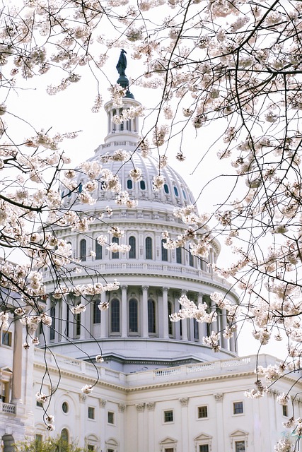 US Senate Removes AI Regulation Ban from Trump's Mega Bill